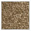  Tapis lavable graines de tournesol-1260659256