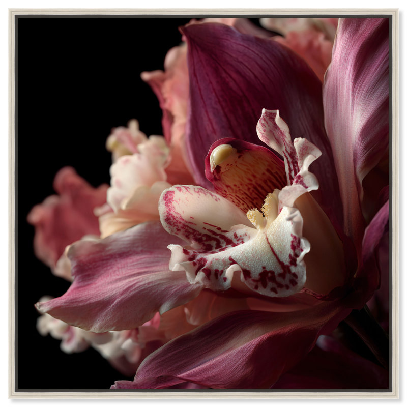 Velvet Labellum Print by Oliver Gal, 21"H x 21"W, Silver Floater Frame