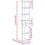 Shilonda Storage Cabinet-691843784