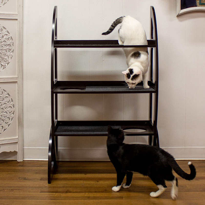 Arbre à chat 47 po Bunnell Jungle Gym