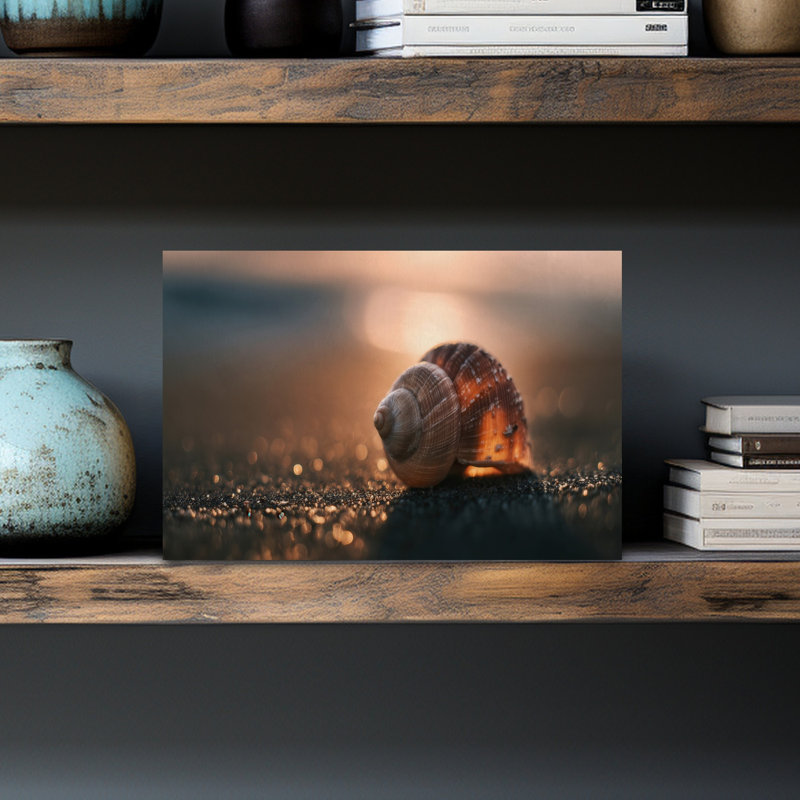 «Golden Hour», impression d'art mural coquillage paisible et serein, 12" H x 18" W