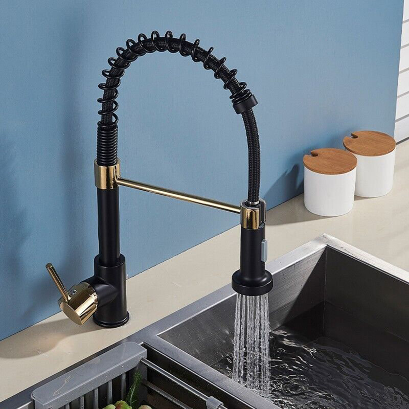Belfry Kitchen Hockensmith Pull Out Kitchen Faucet
