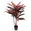 Cordyline en pot Real Touch-960357735-1056295471