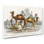 Camels by Oliver Goldsmith - Wrapped Canvas-55371069