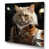 Wrapped Canvas