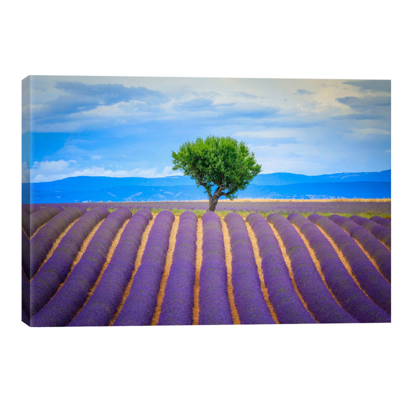 Jim Nilsen - Wrapped Canvas Print, 66.04 cm H x 45.72 cm W x 1.91 cm D