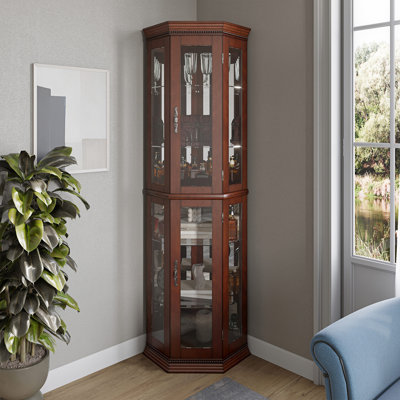 Vitrine de coin lumineuse 21,5 po