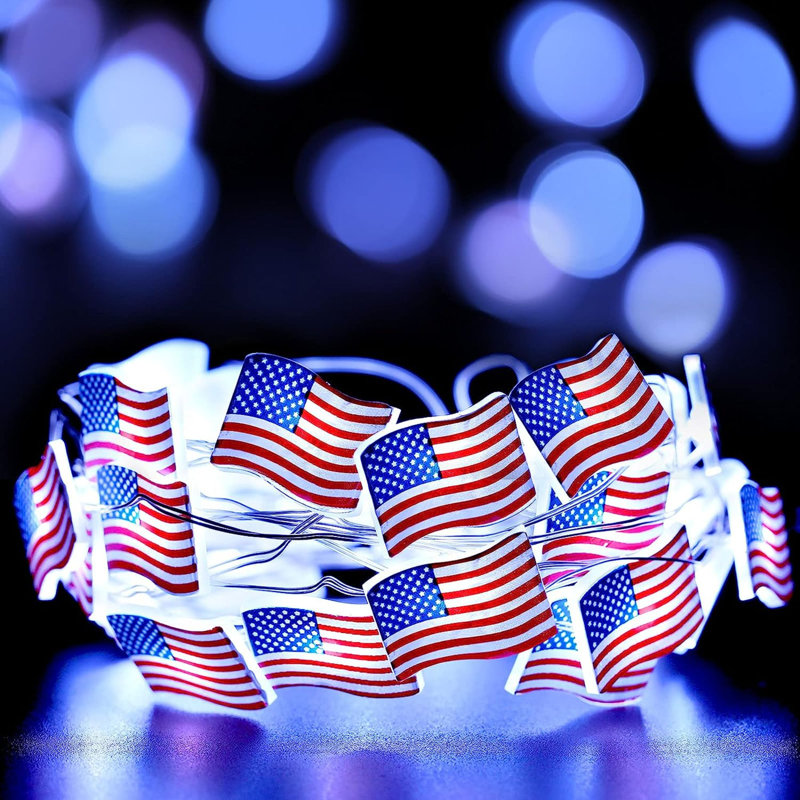 Gieselind 120'' LED String Lights