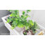 Shanelle Weather Resistant Plant Stand