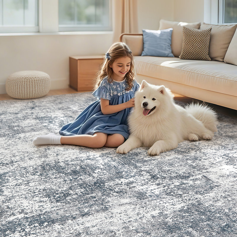 Area Rug Living Room Rugs Soft Indoor Carpet Modern Abstract Rug with Non Slip Rubber Backing for Under Dining Table Nursery Home Office Bedroom