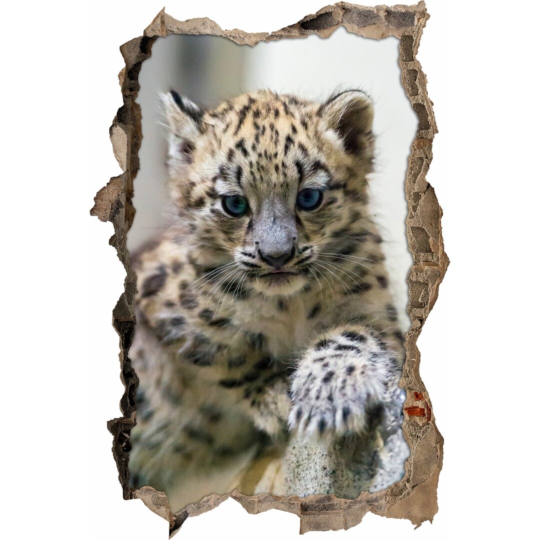 Schönes Leopardenjunges mit blauen Augen Wandsticker