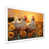 White Picture Framed