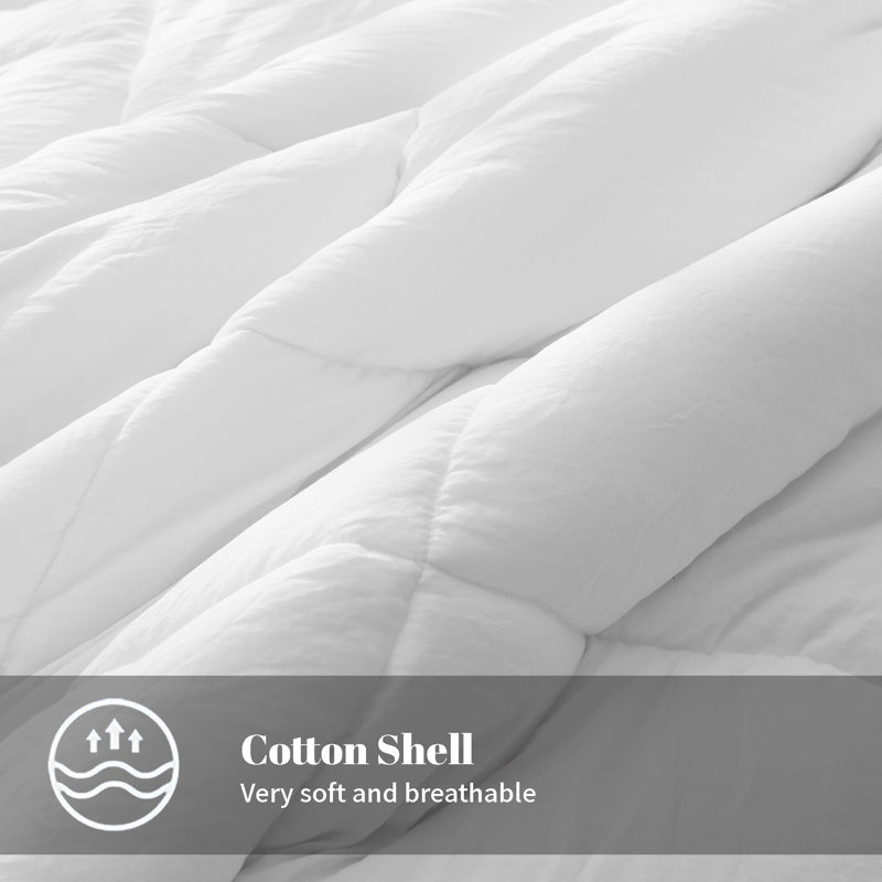 All Season  Polyester Down Alternative Comforter, Queen