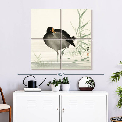 Brampt Moorhen