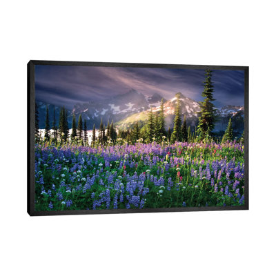 Mountain Wildflowers 1 Piece Wall Art on Canvas