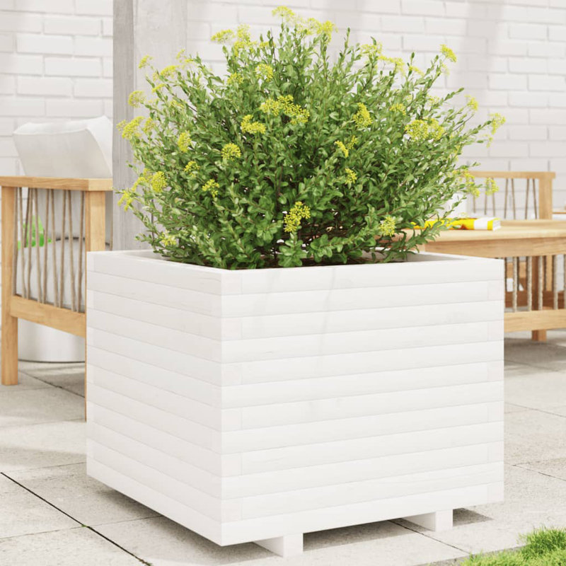 Wood Planter Box, White, 49.5cm H x 60cm W x 60cm D