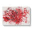 Dewdrops Upon A Red Rose - Wrapped Canvas-56657733