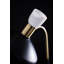 Rotisha 61'' Dimmable LED Floor Lamp