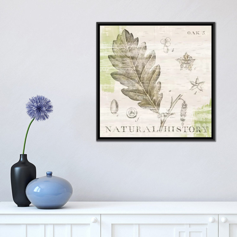 « iii », impression sur toile tendue Natural History Oak, H 18 po x l 18 po x P 1,5 po, Toile encadrée noire, Pas de tapis