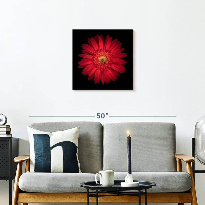 Harnek Bright Red Daisy