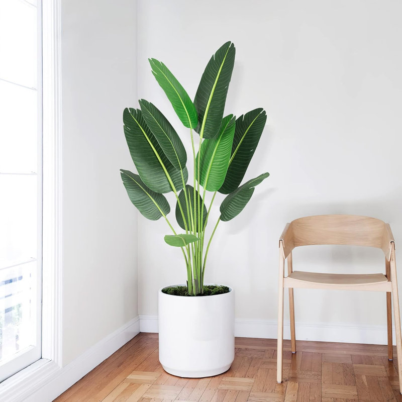 Plant, Green, 59.06cm H x 6.3cm W x 6.3cm D