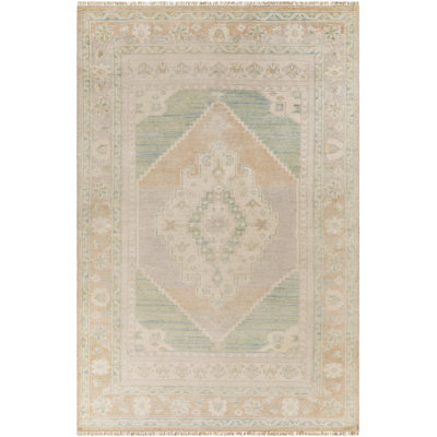 Aydann Oriental Indoor Rug
