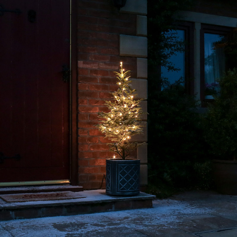 String Lights, Warm White