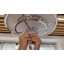 Ventilateur de plafond 20 po à 4 pales en cristal DEL avec télécommande et ensemble d'éclairage inclus Enry