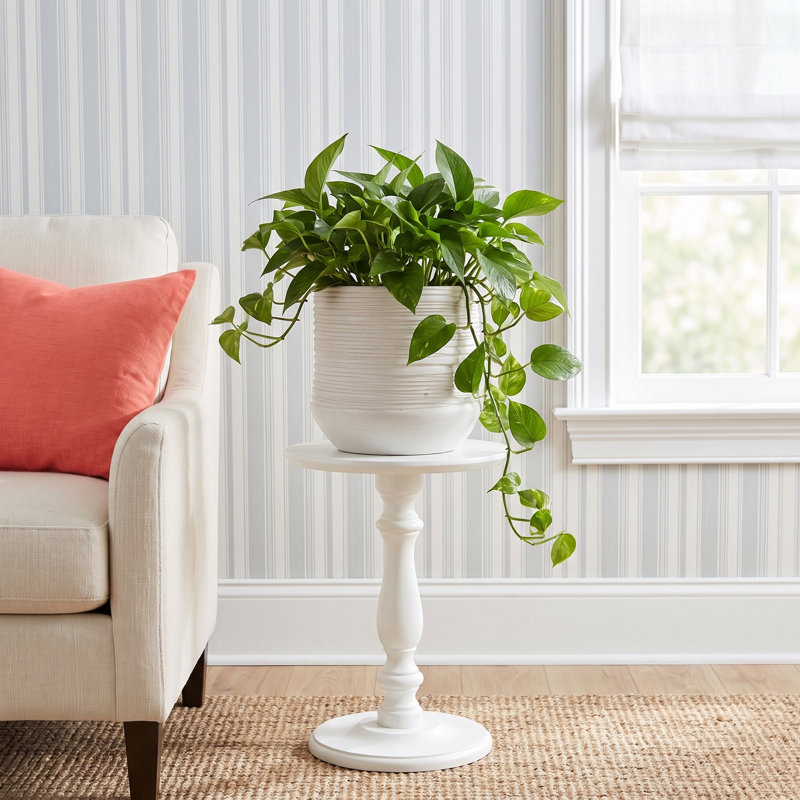Canella Ceramic Pot Planter