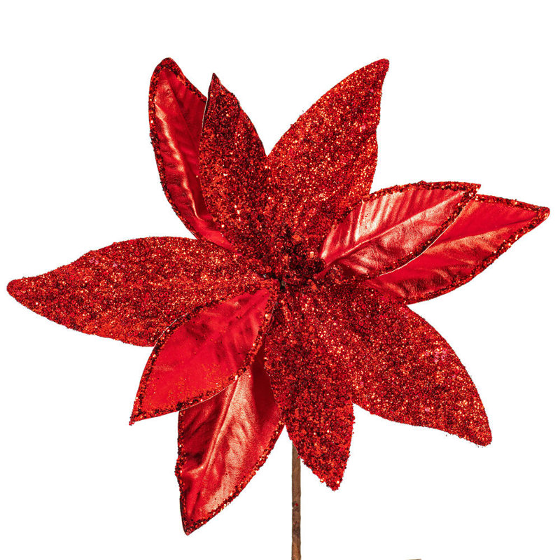 Tiges de poinsettia, Rouge