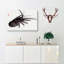 Crayfish by Kono Bairei - Wrapped Canvas-55315327