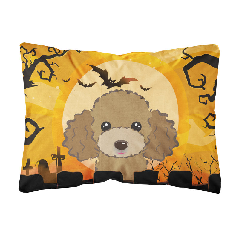  Coussin intérieur / extérieur Halloween, Chocolat / Brun