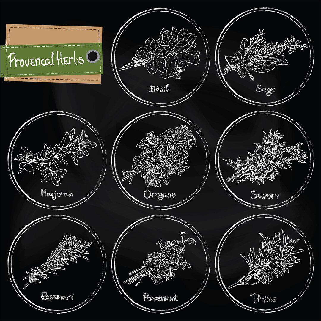 Glasbild Provencal Herbs, Kunstdruck