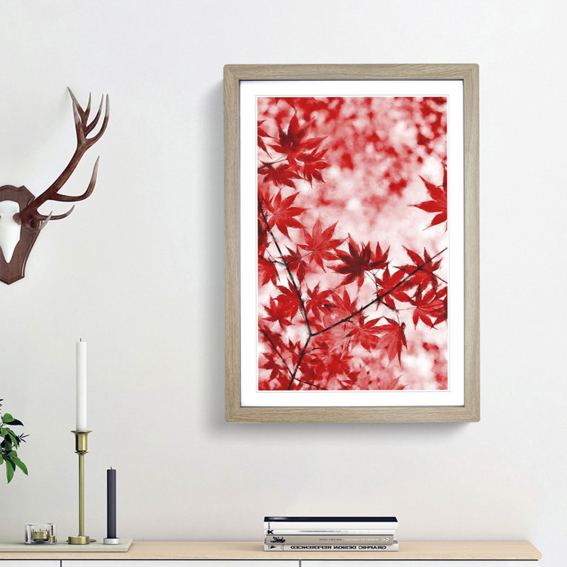 Red Leaves Of A Maple Tree - Single Picture Frame Print on MDF, 33cm H x 24cm W x 2cm D, Oak Framed