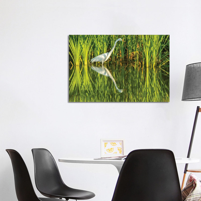 USA, Louisiana, Lake Martin. Sunrise Great Egret Hunting In Reeds. by Jaynes Gallery - Wrapped Canvas Print