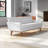 Modway Engage Upholstered Fabric Sofa-1281955004