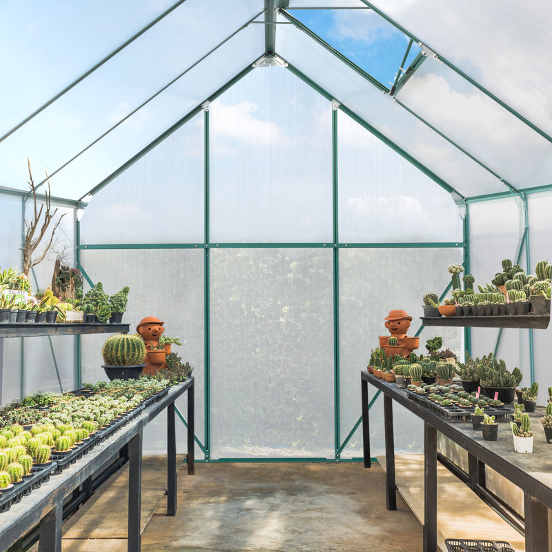 6.2ft. W x 8.2ft. D Hobby Greenhouse, Green