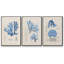 Blue Marine Algae IV - Ensemble de 3 reproductions encadrées sur toile-91886849-91886844