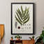 «Botanical Society Ferns II», reproduction encadrée de qualité supérieure - prête à être accrochée-88261681-88261683