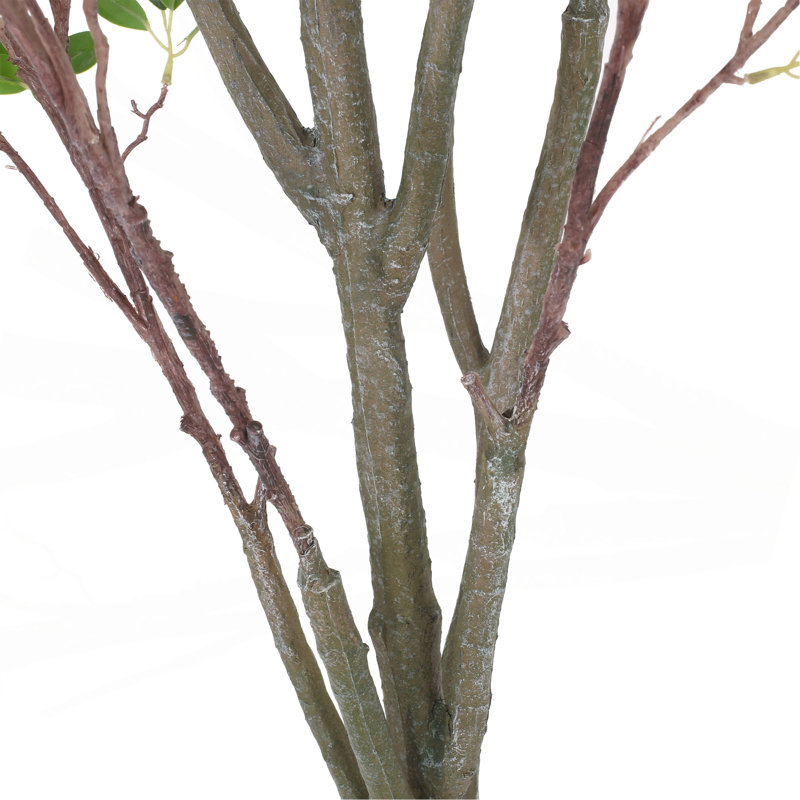 Bonsaï artificiel à feuilles de Milan, 59,1 po x 24,8 po