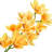 Fabric Orchid Arrangement-1321965717