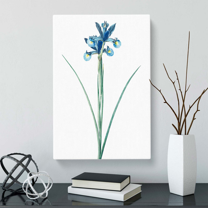 Spanish Blue Iris Flowers by Pierre-Joseph Redoute - Wrapped Canvas, 76cm H x 50cm W x 3cm D