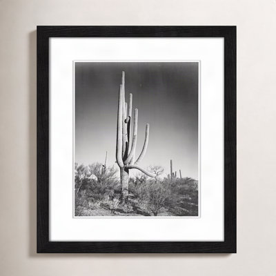 Saguaro National Monument Print by Ansel Adams