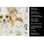 Serviette de cuisine Coffee Bar-1234934724