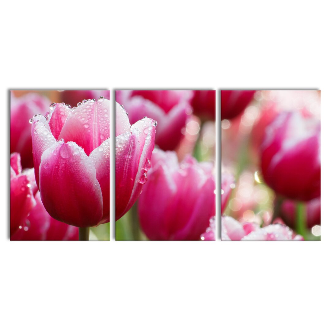 3-tlg. Leinwandbilder-Set Tulpen mit Morgentau