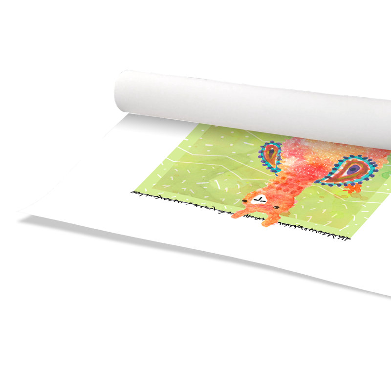 «Rolled Lovely Llama I», impression sur papier, H 24 po x l 20 po x P 1 po