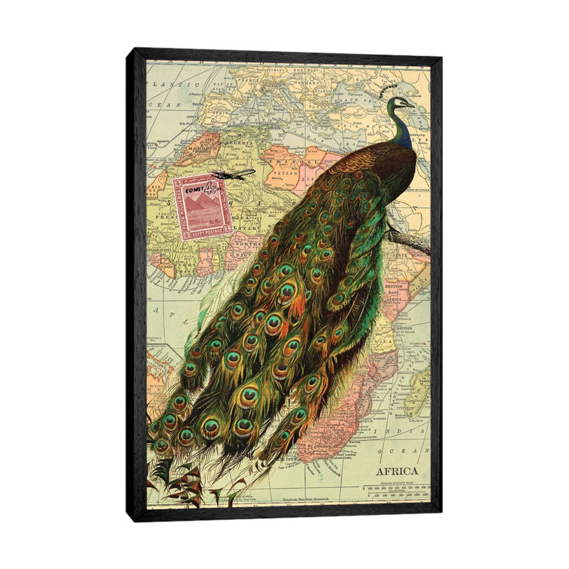 Peacock Collage On Map Of Africa by Piddix - Painting on Canvas, Black Framed, 101.6 cm H x 66.04 cm W