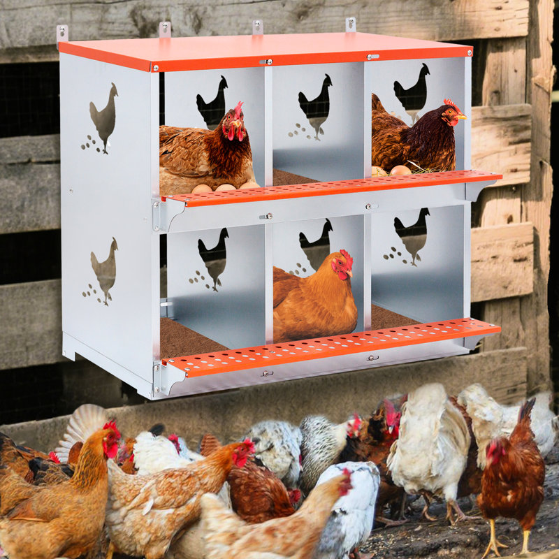 Boîte de 6 nids en acier galvanisé orange pour la volaille, améliore la production d'œufs, la zone de nidification hygiénique, construit l'intégrité du métal et des canards ventilés, est livré avec un rembourrage en fibre de noix de coco, un assemblage facile à nettoyer