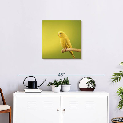 Brampt Perched Yellow Parakeet