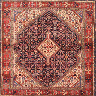 Oriental Indoor Rug